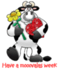 Mooovalas week!
