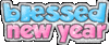 Blessed New Year