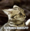 SEX MAKES BABIES???