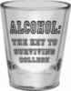 alcohol the key to surviving college