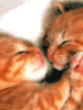 I LUV KISING