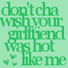 don't cha wish your girlfriend was hot like me