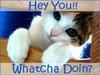 Whatcha Doin