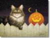 Halloween Fence