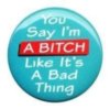you say I'm a bitch like it's a bad thing