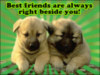 Best friends