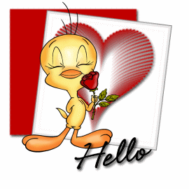 HELLO RED ROSE
