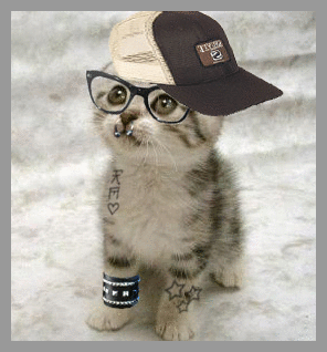 wat up?