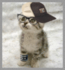 wat up?
