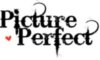 picture perfect