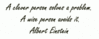 A Wise Person Avoids A Problem - Albert Einstein