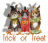 trick or treat