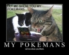 Pokeman, meow!