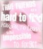 TRUE FRIENDS