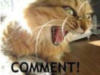 COMMENT!