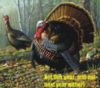 Happy Thanksgiving