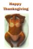 Happy Thanksgiving