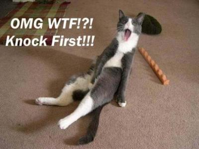Omg Wtf Knock First - Cat