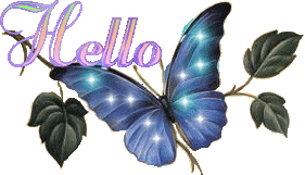 Hello Butterfly