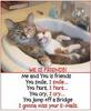 We Is Friends - Cats