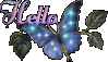 Hello Butterfly