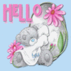 Bear And Hello