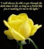 Friend in the Light