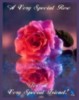 A VERY SPECIAL ROSE FOR A VERY SPECIAL FRIEND