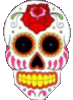 Super Cool Skull