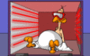 Turkey fun