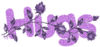 Hugs