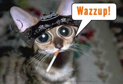 Wazzup