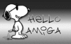 Hello Amigo