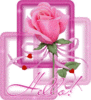 Hello With Rose