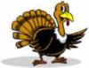 Thanksgiving Turkey