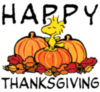 THANKSGIVING