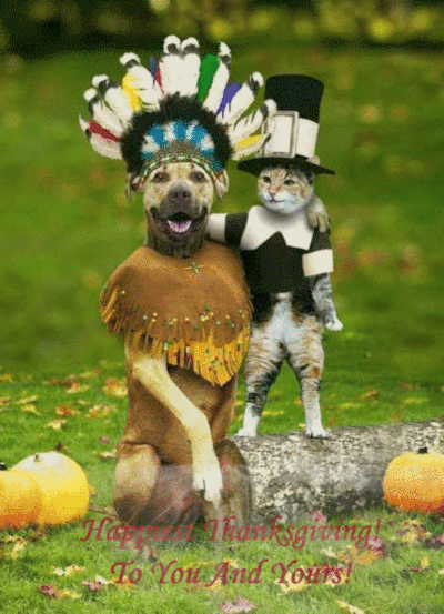 Happy Thanksgiving