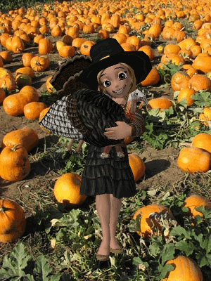 Happy Thanksgiving animation