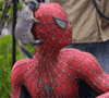 Spidy