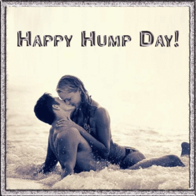 hump day, white background 