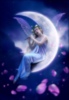 good night