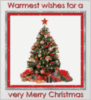 WARMEST WISHES FOR A VERY MERRY CHRISTMAS