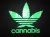 CANNABIS
