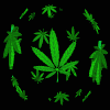 weed