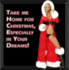 TAKE ME HOME FOR CHRISTMAS