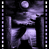 IN DARK