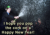 I Hope You Pop The Cork On A Happy New Year!