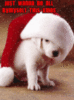 Alone-on-Christmas