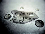 I Mis You