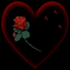 Showing Love